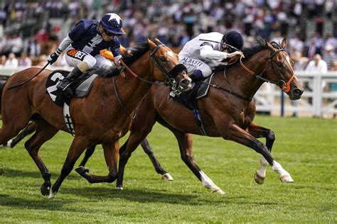 fast results at the races.